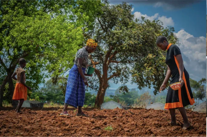 Field production in Tanzania